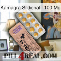 Kamagra Sildenafil 100Mg 41